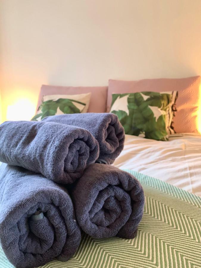 Homestay Cute Pug Guest Copenhagen